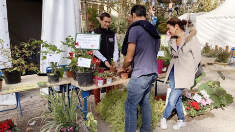 Une manifestation grand public comme SEVE, organisée au cœur de Montpellier (34), a permis d’engager des échanges de qualité et de mettre en avant les savoir-faire et les métiers.Le service des espaces verts offrait des boutures, l’occasion de faire découvrir les plantes et les bons soins à leur prodiguer. ©O. Maillard